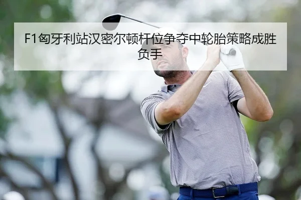 xiong-ya-li-zhan-han-mi-er-dun-gan-wei-zheng-duo-zhong-lun-tai-ce-lve-cheng-sheng-fu-shou-2-114.jpg